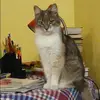 Отзыв от Екатерина Троицкая